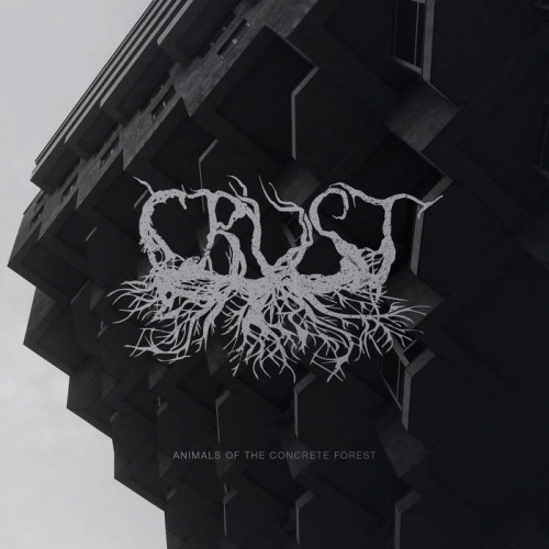 Crust : Animals of the Concrete Forest
